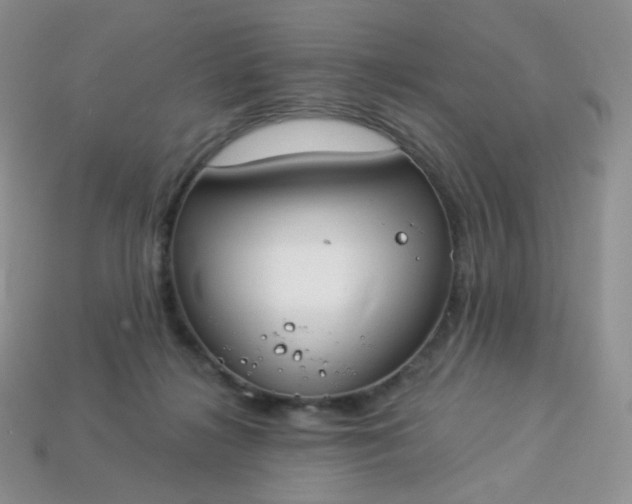 X0000114160268200910221615