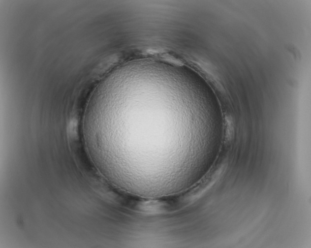 X0000114160269200910221615