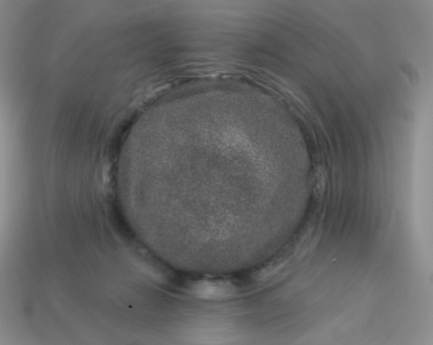 X0000114160270200910221615