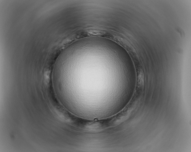 X0000114160271200910221615