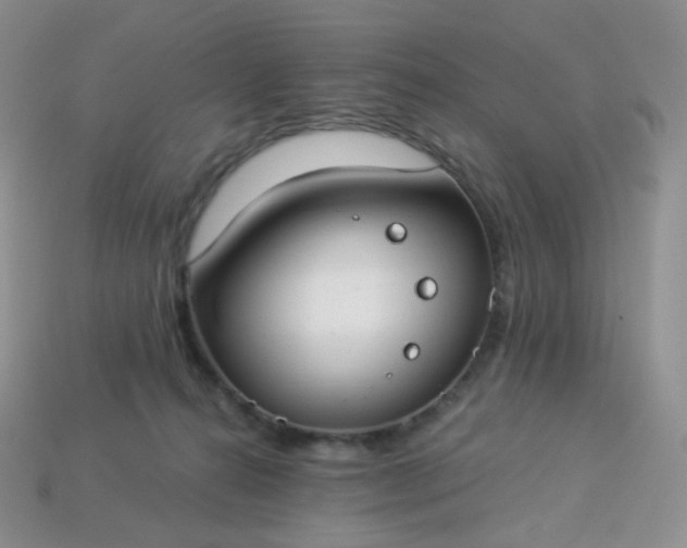 X0000114160272200910221615