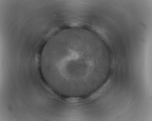 X0000114160273200910221615