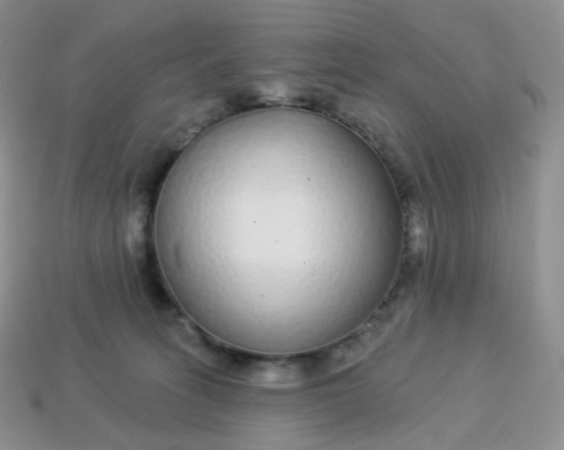 X0000114160275200910221615