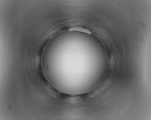 X0000114160278200910221615