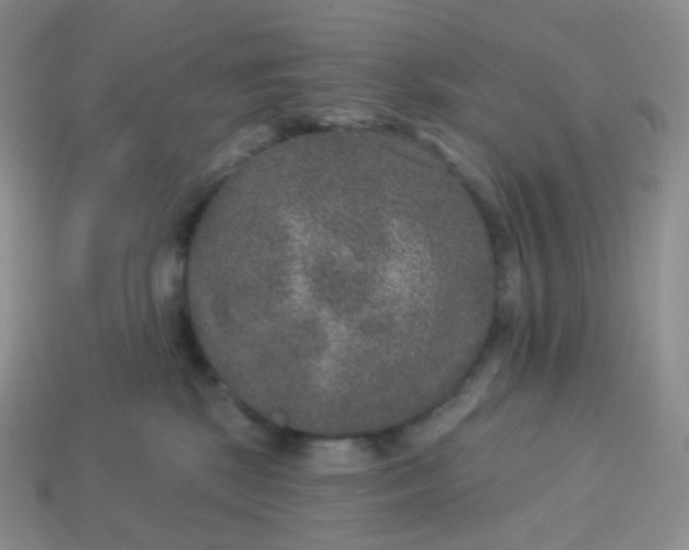 X0000114160281200910221615