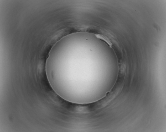 X0000114160283200910221615