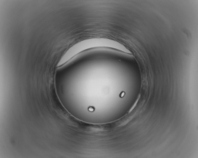 X0000114160284200910221615