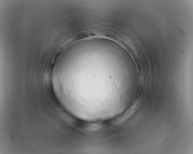 X0000114160285200910221615