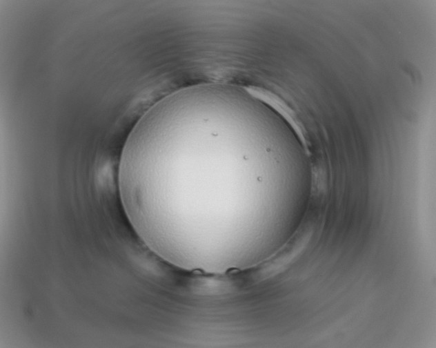 X0000114160286200910221615