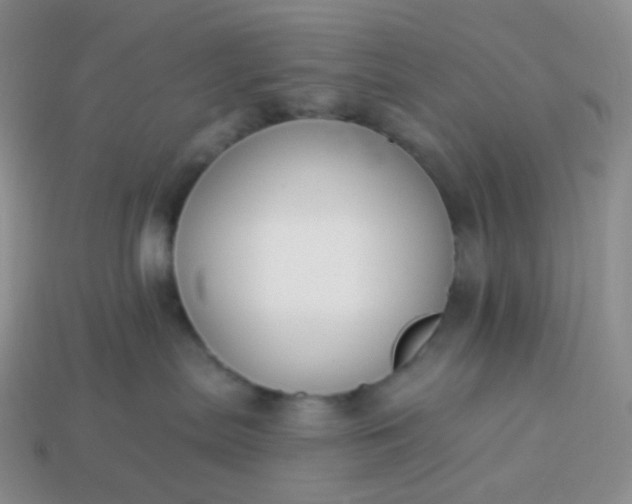 X0000114160287200910221615