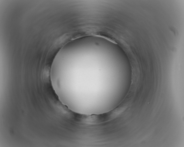 X0000114160288200910221615