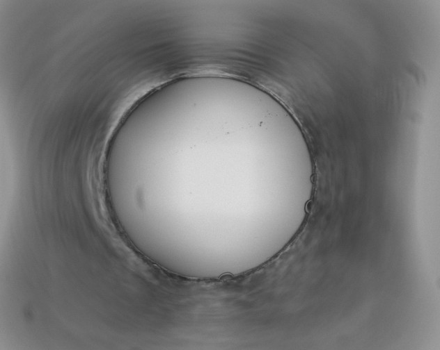 X0000114160289200910221614