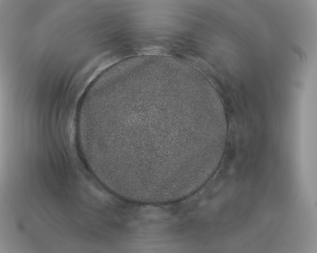 X0000114160290200910221614