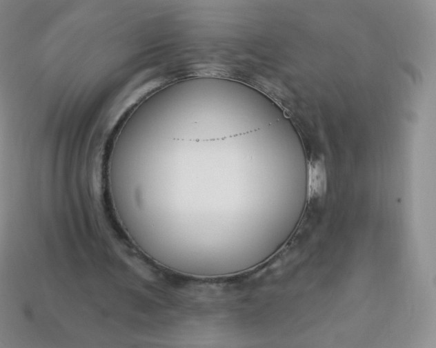 X0000114160291200910221614