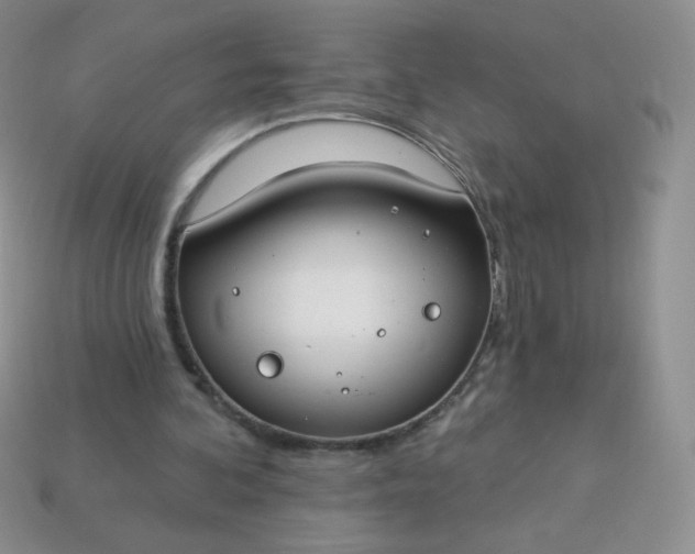 X0000114160292200910221614