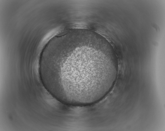 X0000114160293200910221614