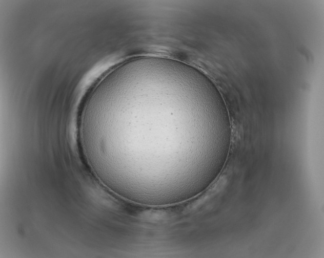 X0000114160294200910221614