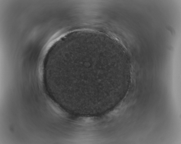 X0000114160295200910221614