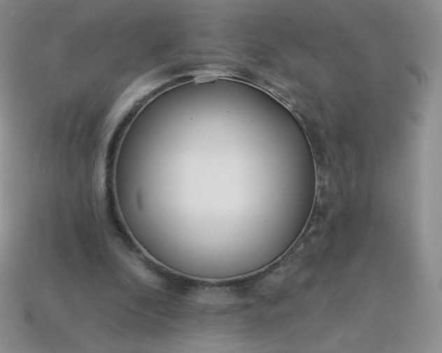 X0000114160296200910221614