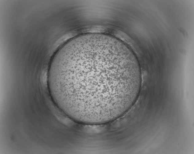 X0000114160297200910221614