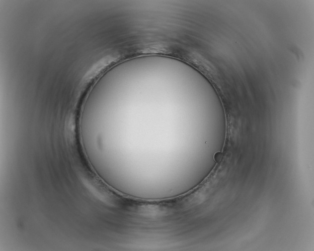 X0000114160298200910221614