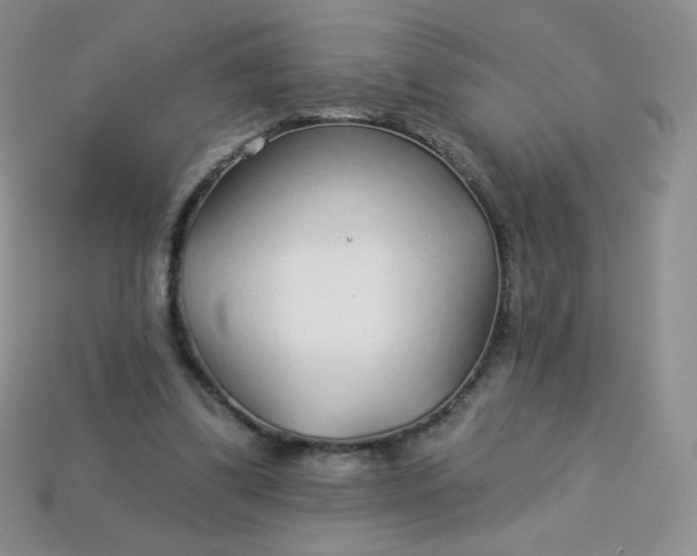 X0000114160299200910221614