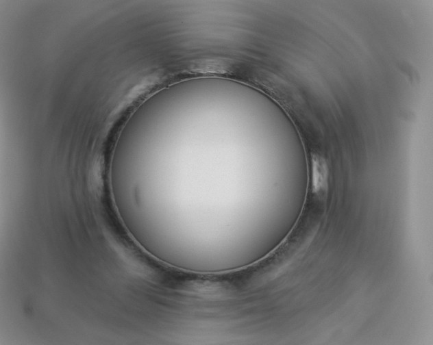 X0000114160300200910221614