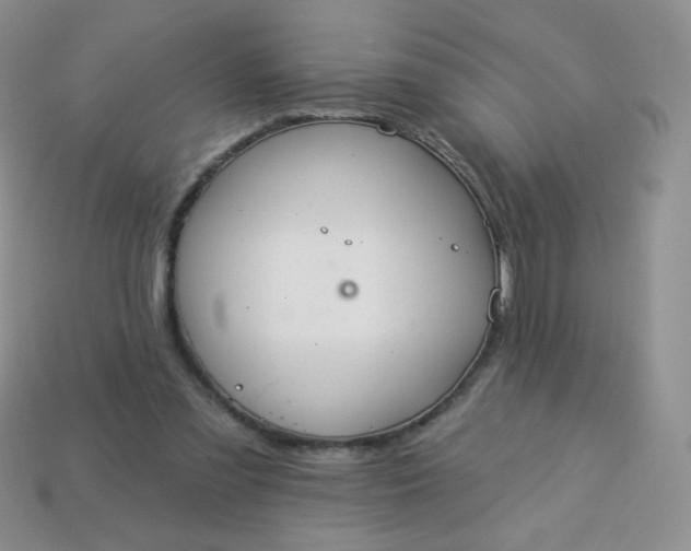 X0000114160301200910221614