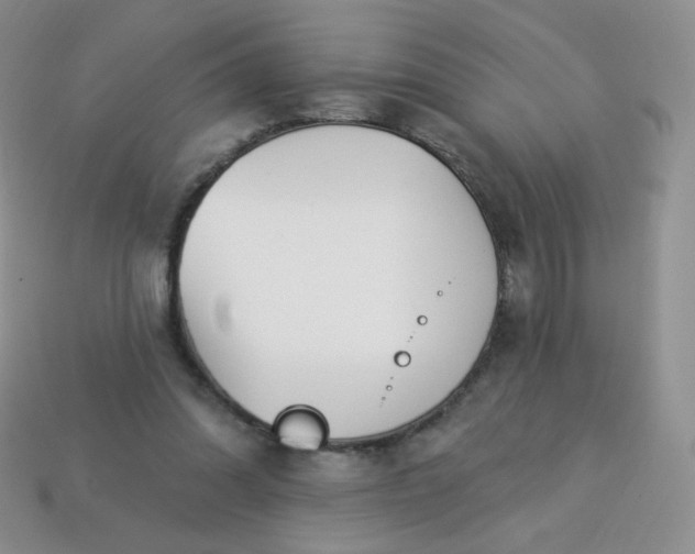 X0000114160302200910221614