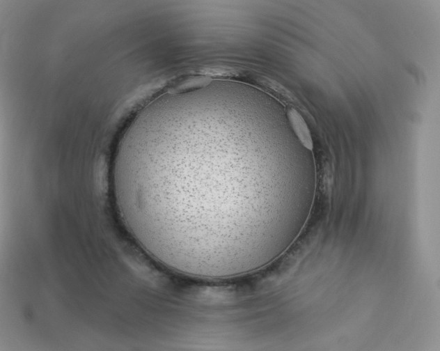 X0000114160303200910221614