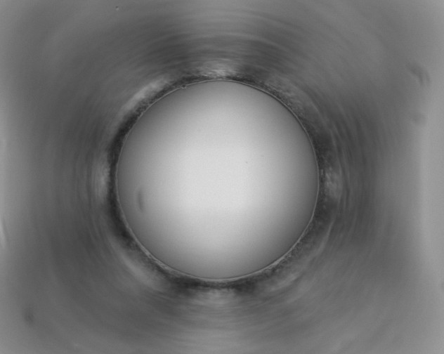 X0000114160304200910221614