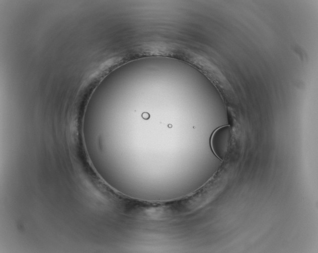 X0000114160306200910221614