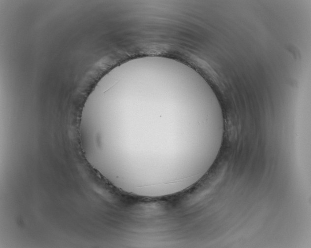 X0000114160307200910221614