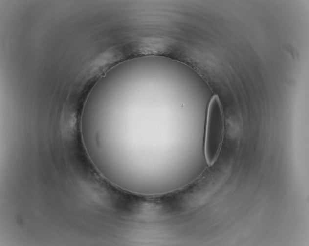 X0000114160308200910221614