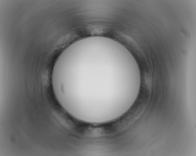 X0000114160311200910221614