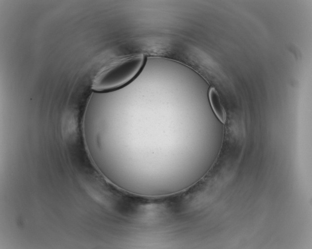 X0000114160312200910221614