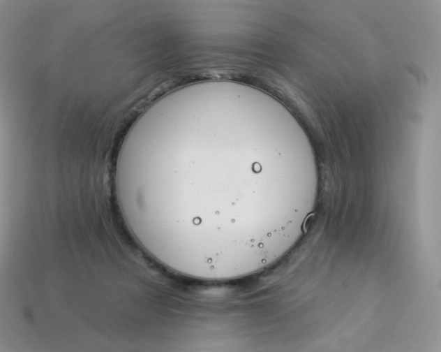 X0000114160313200910221614