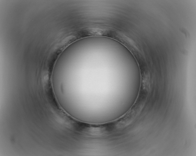 X0000114160314200910221614