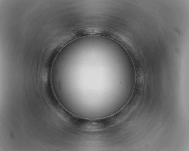 X0000114160315200910221614