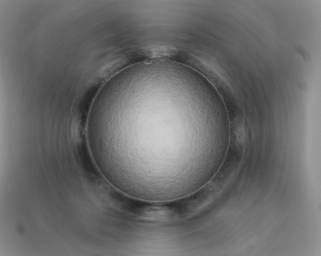 X0000114160316200910221614