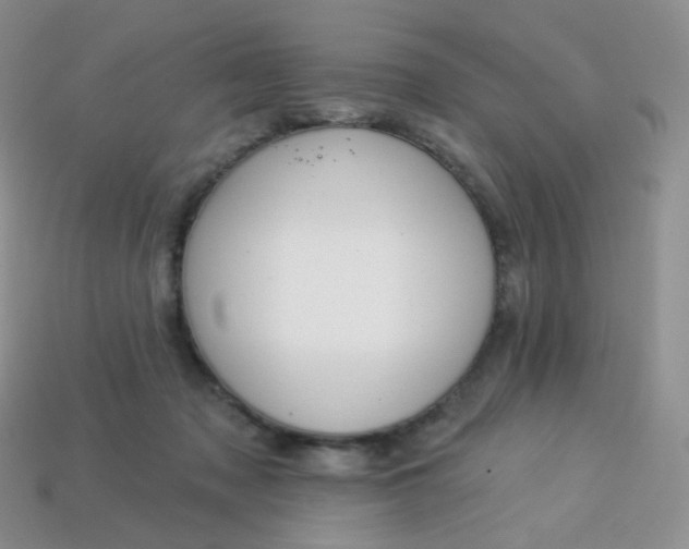 X0000114160317200910221614