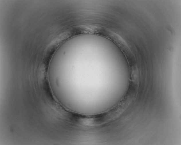 X0000114160318200910221614