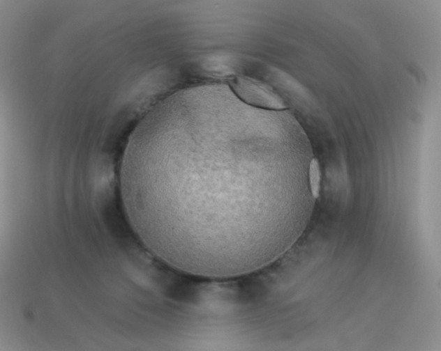 X0000114160320200910221614