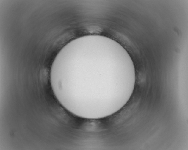 X0000114160321200910221614