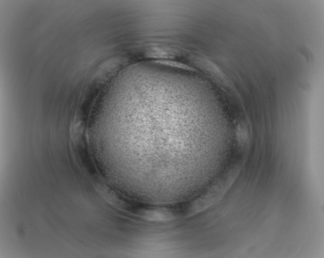 X0000114160322200910221614