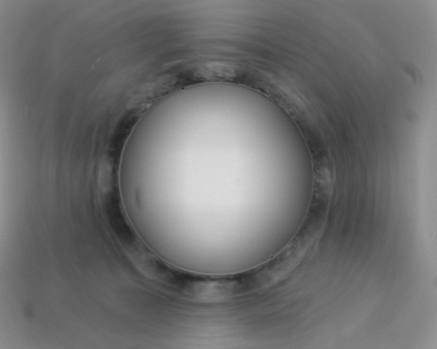 X0000114160323200910221614