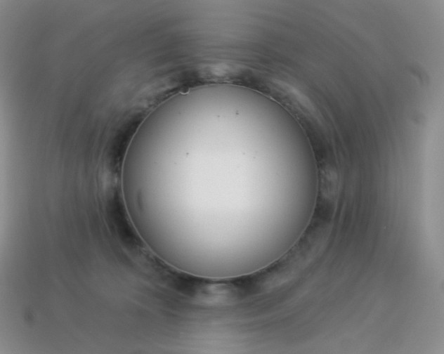 X0000114160324200910221614