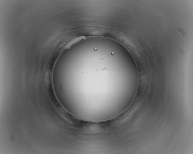 X0000114160325200910221614