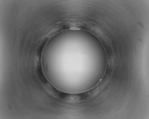 X0000114160327200910221613