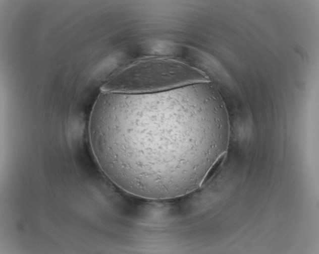 X0000114160328200910221613